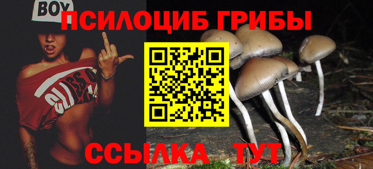 Псилоцибиновые грибы мухоморы Усть-Илимск